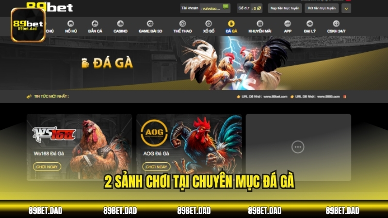 2 sảnh chơi tại chuyên mục Đá gà