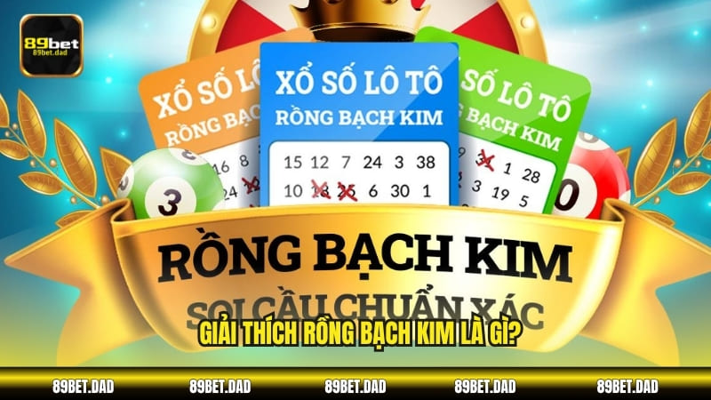 Giải thích rồng bạch kim là gì?