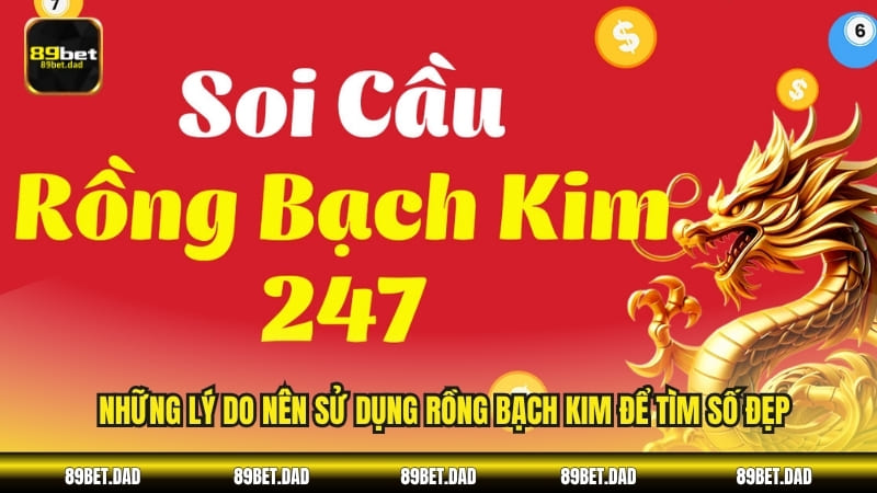 Những lý do nên sử dụng rồng bạch kim để tìm số đẹp